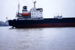579f0a90949dd.jpg
