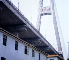 579aac7b551a9.jpg